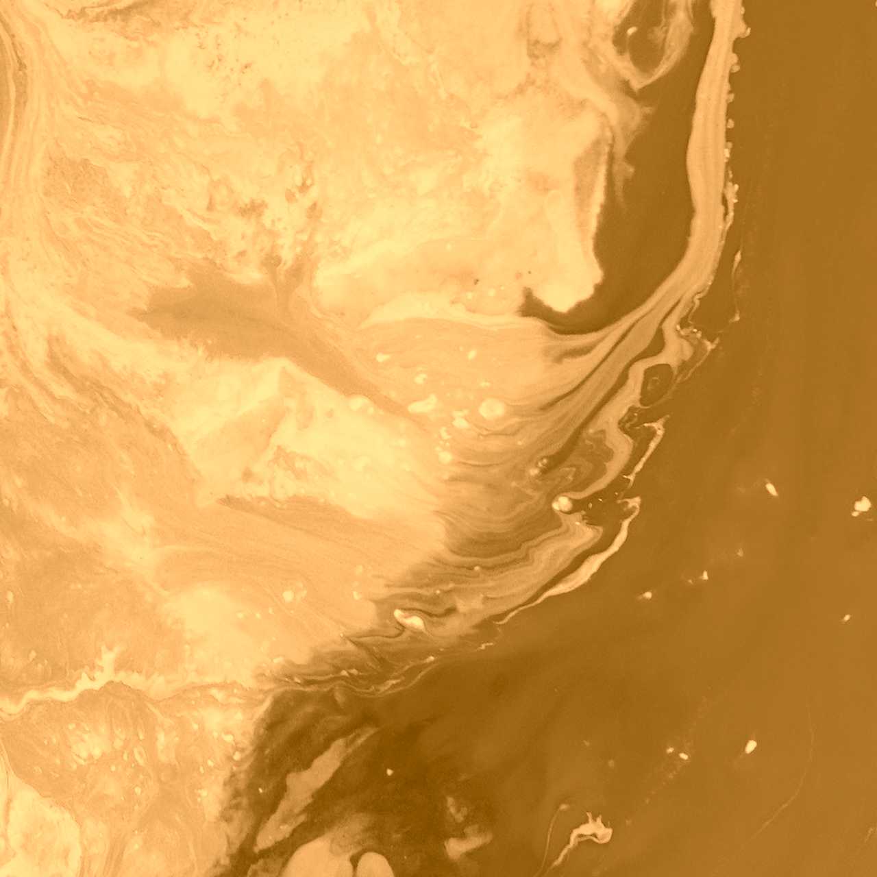 Cómo maximizar el valor de la inversión en diseño web.