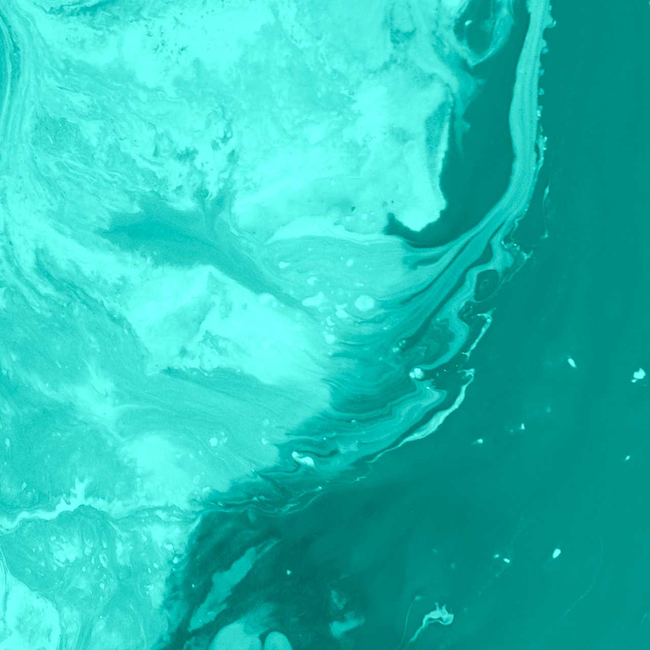 Conceptos básicos de diseño web